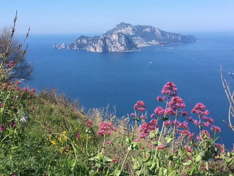 Albergo Italia - Vintage Hotel Capri Eksteriør bilde